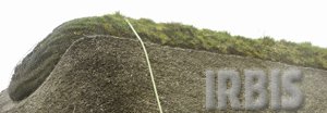 Dach kryty strzechą trzcinową z kalenicą darniową. Z boku widać instalację nawadniającą w razie suszy!